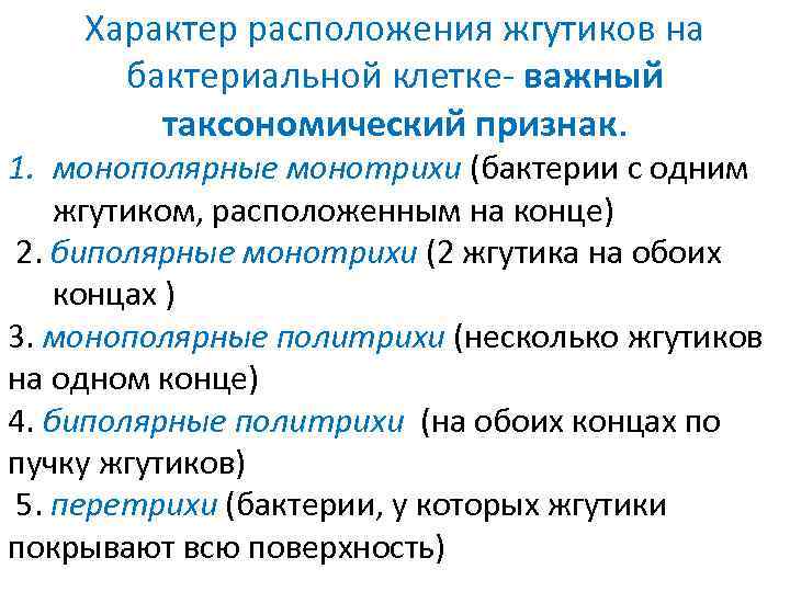 Характер расположения жгутиков на бактериальной клетке- важный таксономический признак. 1. монополярные монотрихи (бактерии с