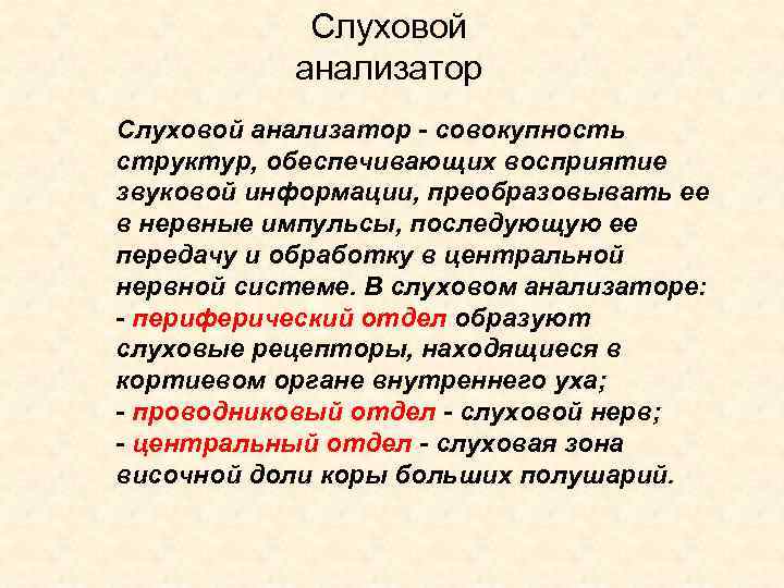 Слуховой анализатор - совокупность структур, обеспечивающих восприятие звуковой информации, преобразовывать ее в нервные импульсы,