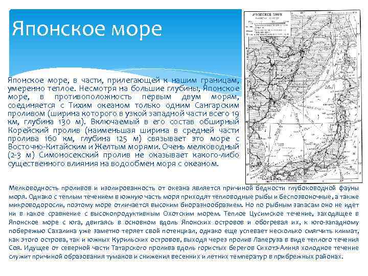 Японское море, в части, прилегающей к нашим границам, умеренно теплое. Несмотря на большие глубины,