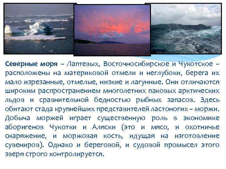 Средняя глубина моря лаптевых. Биоресурсы моря Лаптевых. Минеральные ресурсы моря Лаптевых. Арктика море Лаптевых. Изрезанность береговой линии моря Лаптевых.