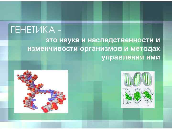 Урок генетика наука о наследственности и изменчивости