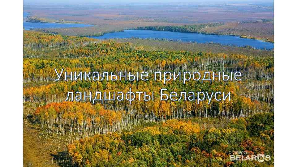 Уникальные природные ландшафты Беларуси 