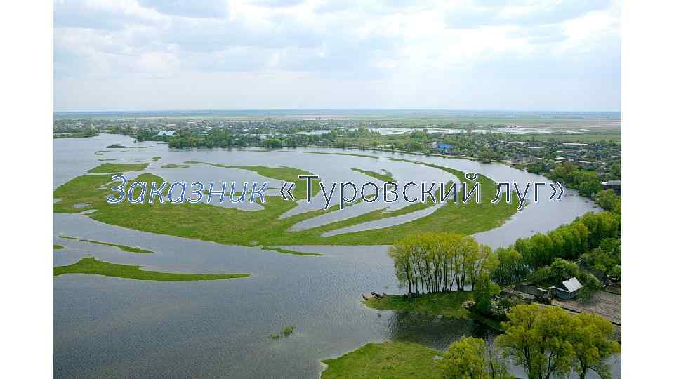 Заказник «Туровский луг» 