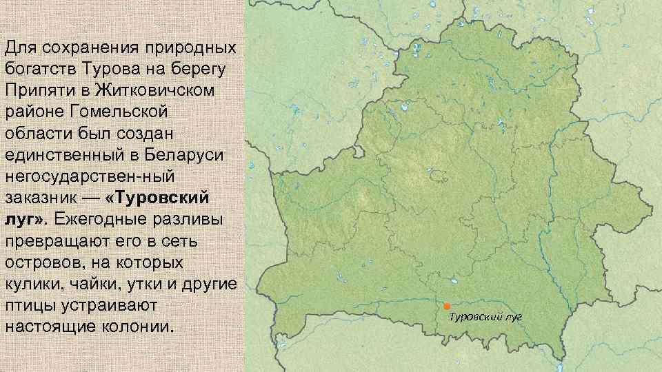 Для сохранения природных богатств Турова на берегу Припяти в Житковичском районе Гомельской области был