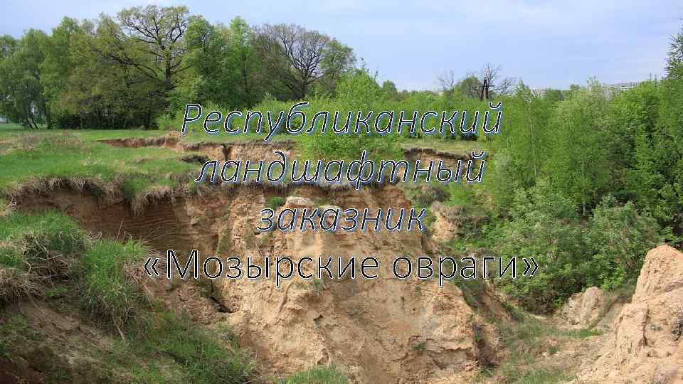 Республиканский ландшафтный заказник «Мозырские овраги» 