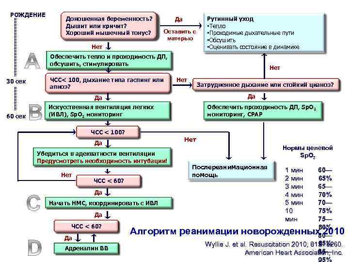 Вкладыш карта реанимации и стабилизации состояния новорожденных детей в родильном зале