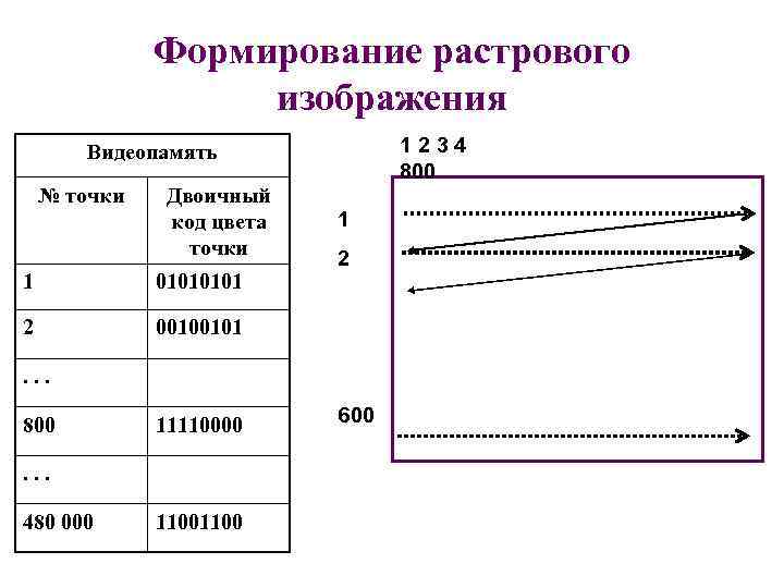 Формирование растрового изображения 1 2 3 4 800 Видеопамять № точки Двоичный код цвета