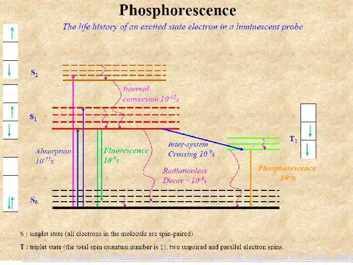 C: UsersAlexDocumentsReferencMolecular expressionsmicro. mag 