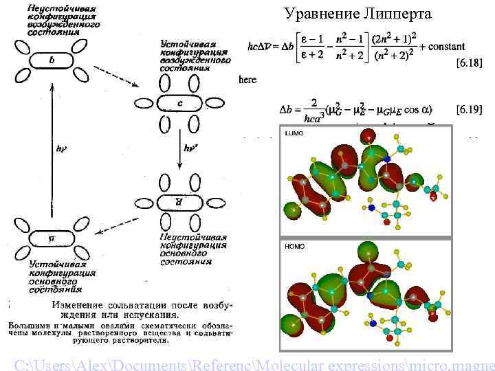 Уравнение Липперта 