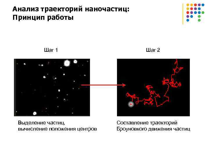 Анализ траекторий наночастиц: Принцип работы Шаг 1 Выделение частиц, вычисление положения центров Шаг 2