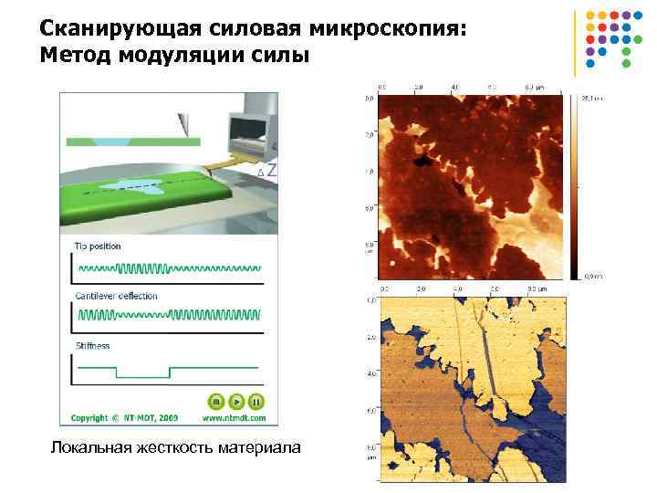 Сканирующая силовая микроскопия: Метод модуляции силы Локальная жесткость материала 