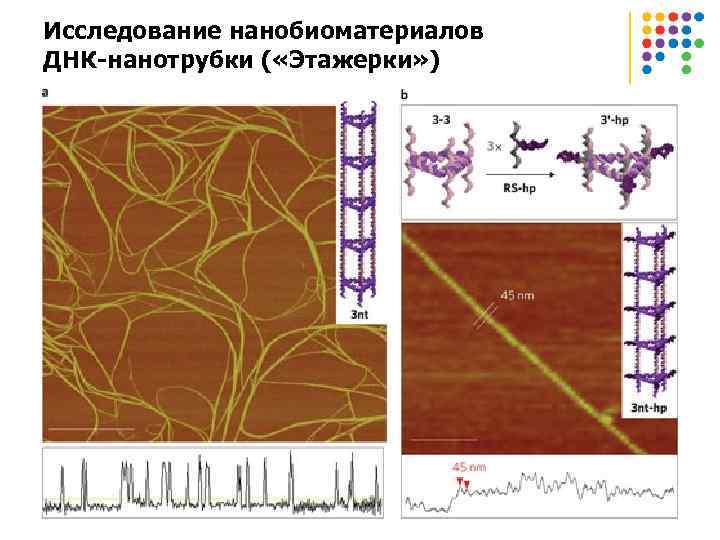 Исследование нанобиоматериалов ДНК-нанотрубки ( «Этажерки» ) 