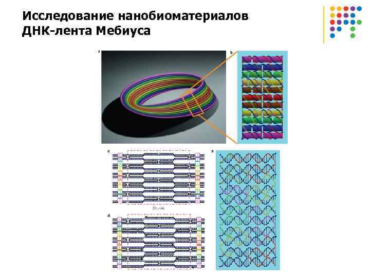 Исследование нанобиоматериалов ДНК-лента Мебиуса 
