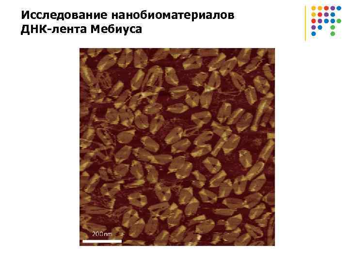 Исследование нанобиоматериалов ДНК-лента Мебиуса 