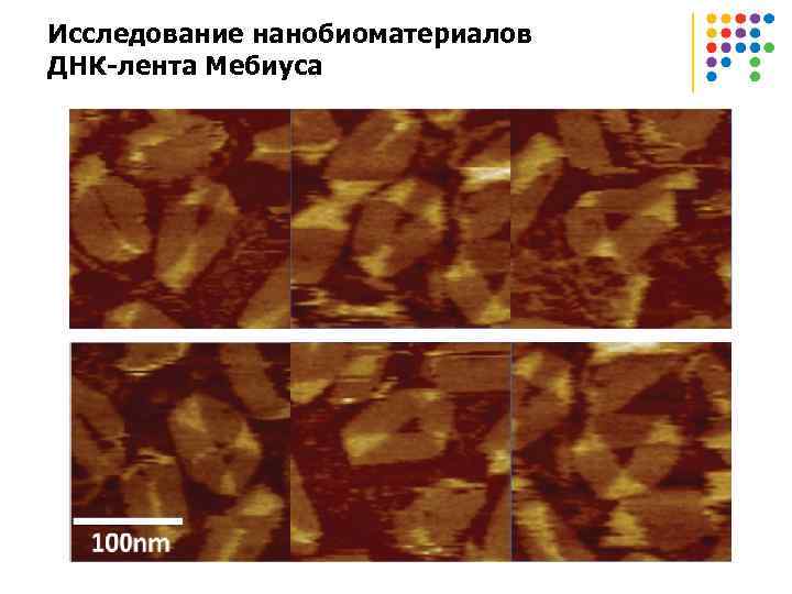 Исследование нанобиоматериалов ДНК-лента Мебиуса 