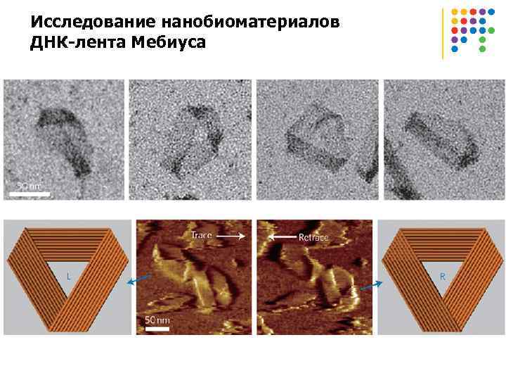 Исследование нанобиоматериалов ДНК-лента Мебиуса 
