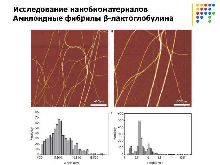 Исследование нанобиоматериалов Амилоидные фибрилы β-лактоглобулина 