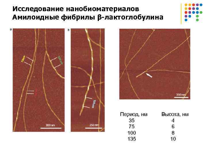 Исследование нанобиоматериалов Амилоидные фибрилы β-лактоглобулина Период, нм 35 75 100 135 Высота, нм 4