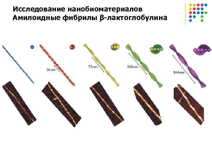 Исследование нанобиоматериалов Амилоидные фибрилы β-лактоглобулина 