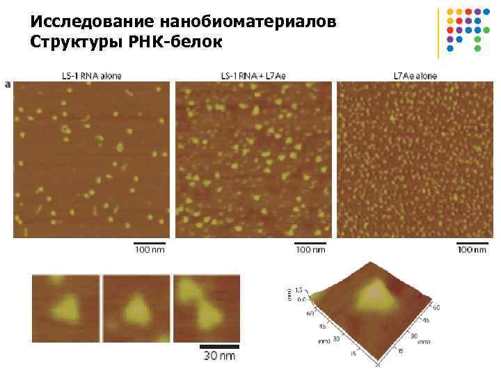 Исследование нанобиоматериалов Структуры РНК-белок 
