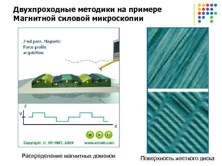 Двухпроходные методики на примере Магнитной силовой микроскопии Распределение магнитных доменов Поверхность жесткого диска 