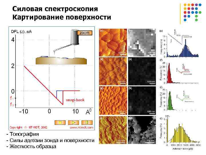Силовая спектроскопия Картирование поверхности - Топография - Силы адгезии зонда и поверхности - Жесткость