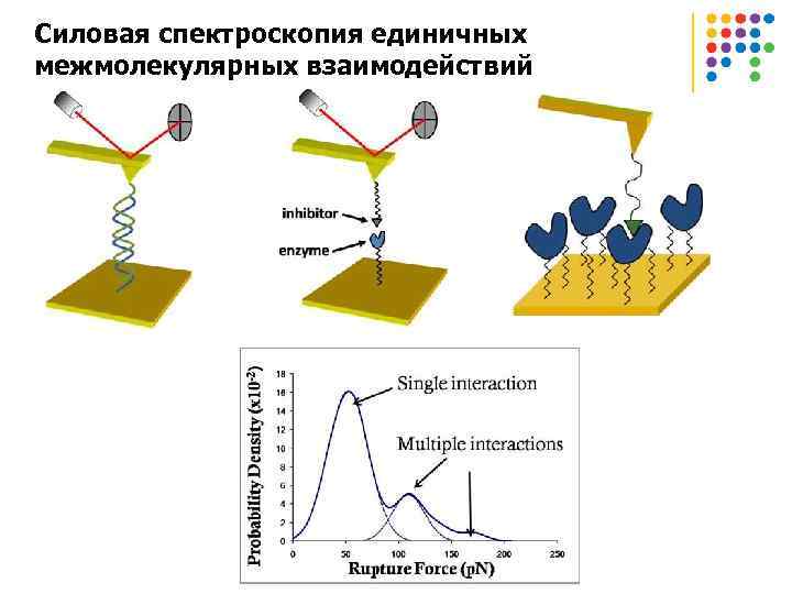 Силовая спектроскопия единичных межмолекулярных взаимодействий 