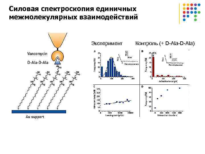 Силовая спектроскопия единичных межмолекулярных взаимодействий Эксперимент Контроль (+ D-Ala-D-Ala) 