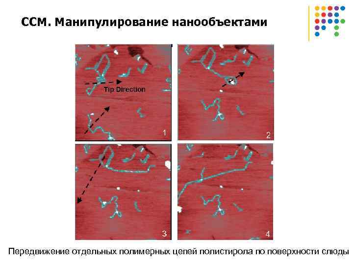ССМ. Манипулирование нанообъектами Передвижение отдельных полимерных цепей полистирола по поверхности слюды 