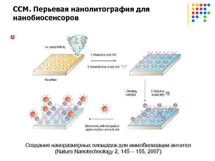 ССМ. Перьевая нанолитография для нанобиосенсоров Создание наноразмерных площадок для иммобилизации антител (Nature Nanotechnology 2,