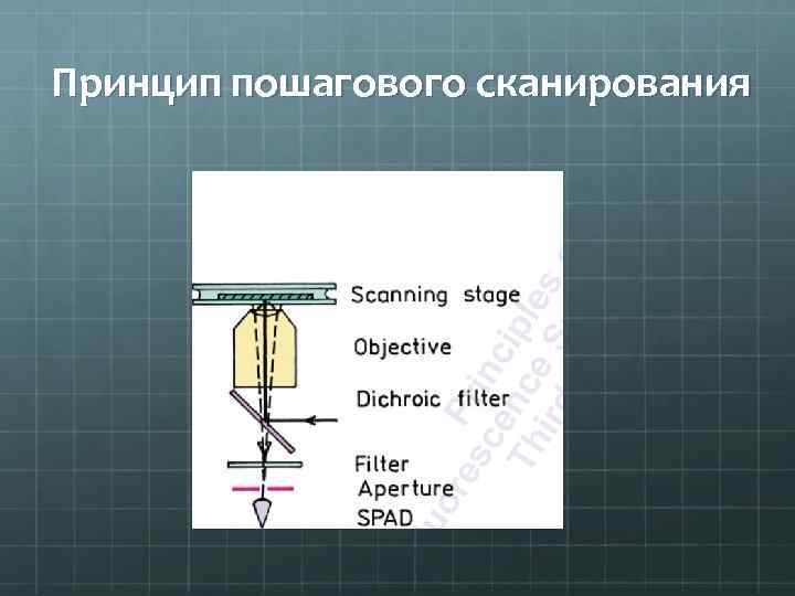 Принцип пошагового сканирования 