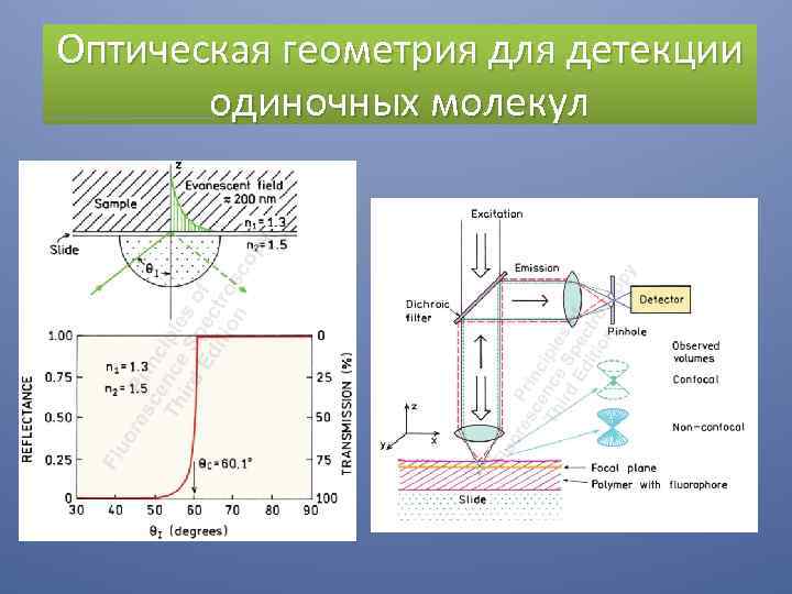 Оптическая геометрия для детекции одиночных молекул 