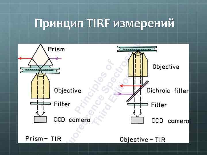 Принцип TIRF измерений 