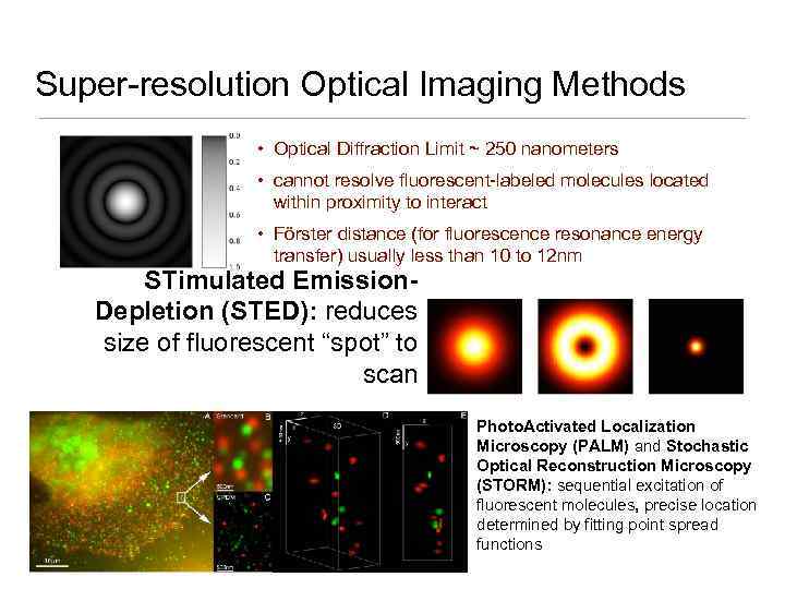 Super-resolution Optical Imaging Methods • Optical Diffraction Limit ~ 250 nanometers • cannot resolve