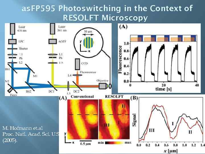 as. FP 595 Photoswitching in the Context of RESOLFT Microscopy M. Hofmann et. al