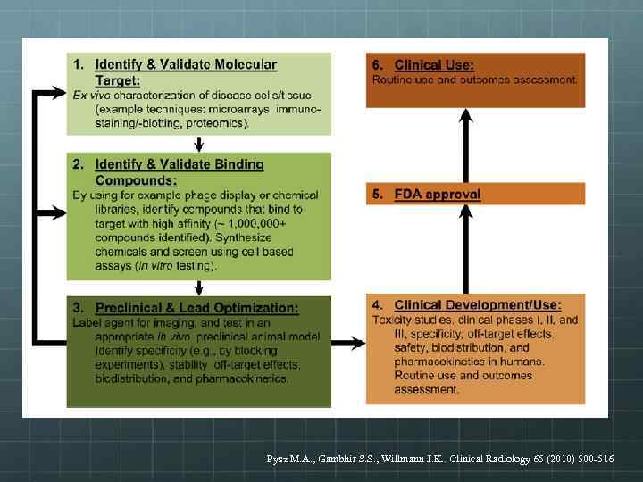 Pysz M. A. , Gambhir S. S. , Willmann J. K. . Clinical Radiology