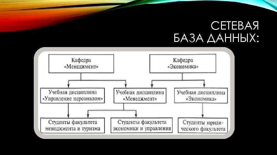 СЕТЕВАЯ БАЗА ДАННЫХ: 