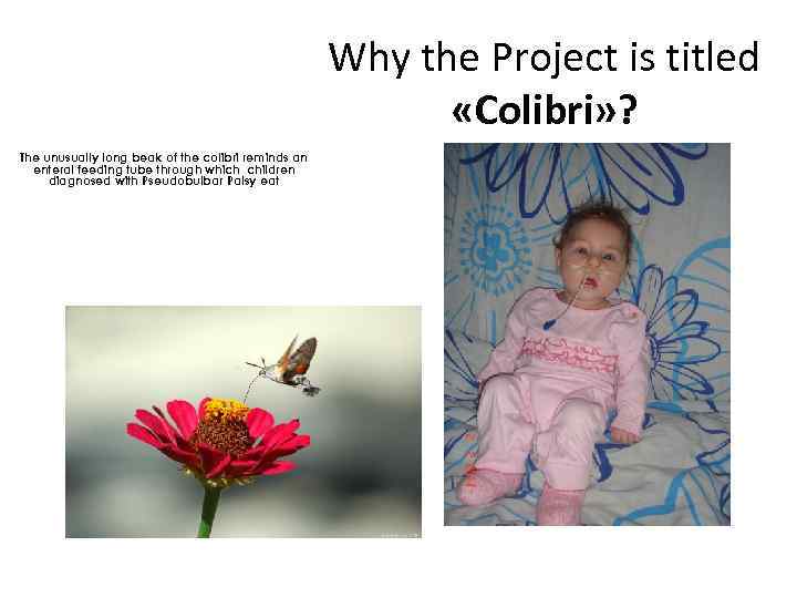 Why the Project is titled «Colibri» ? The unusually long beak of the colibri