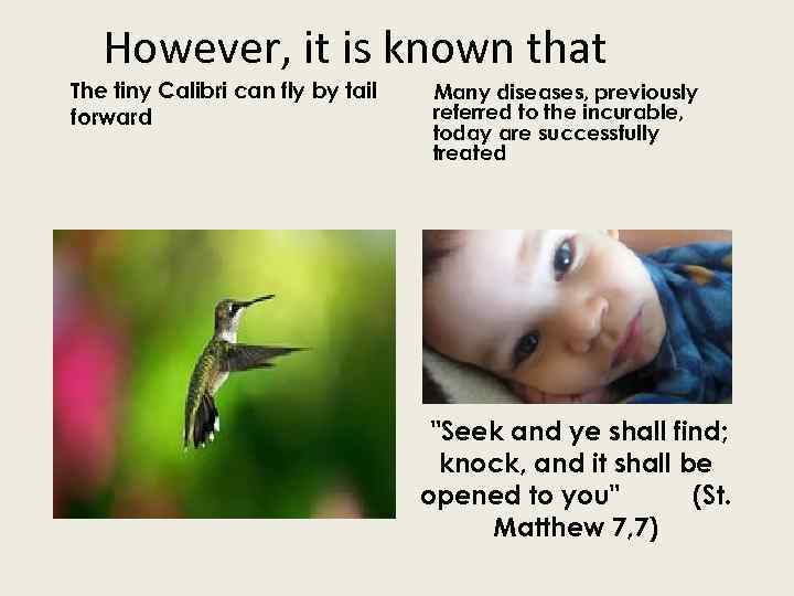 However, it is known that The tiny Calibri can fly by tail forward Many