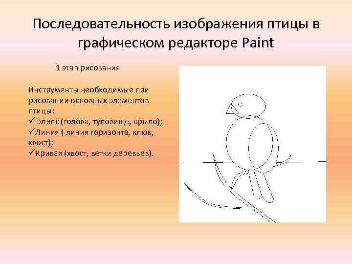 Основной рисунок. Этапы графического изображения птицы. Последовательность изображения предмета в графическом редакторе. Последовательность в изображении птички. Последовательность графических рисунков картинки.