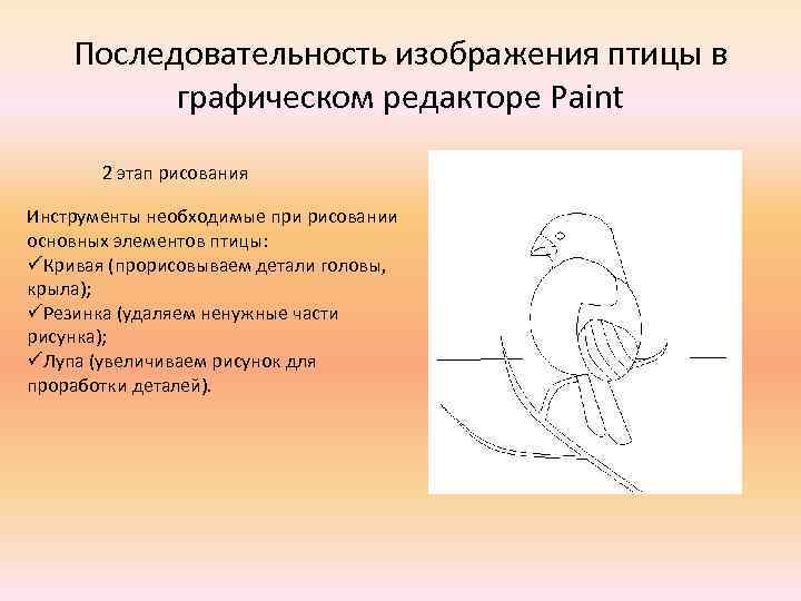 Рисунок общая характеристика