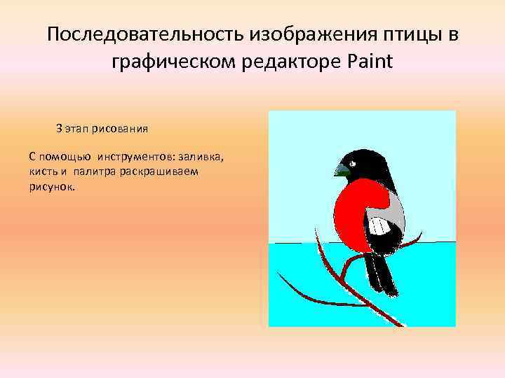 Последовательность изображения птицы в графическом редакторе Paint 3 этап рисования С помощью инструментов: заливка,