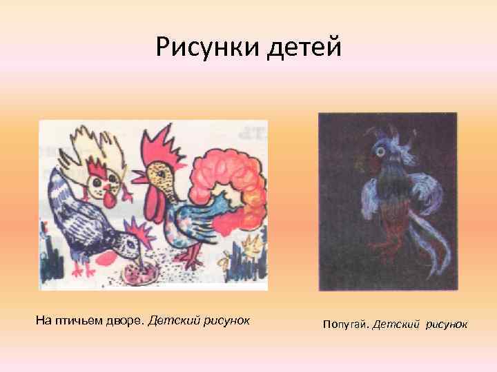 Рисунки детей На птичьем дворе. Детский рисунок Попугай. Детский рисунок 