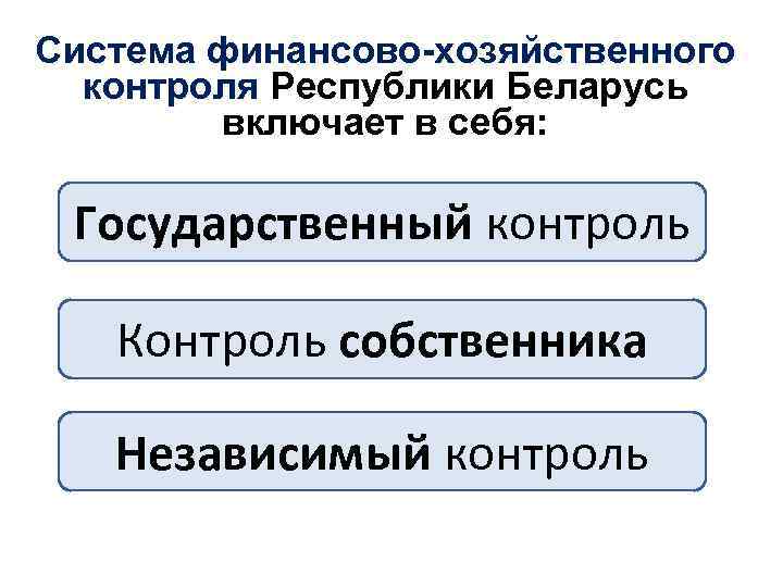 Система финансово-хозяйственного контроля Республики Беларусь включает в себя: Государственный контроль Контроль собственника Независимый контроль