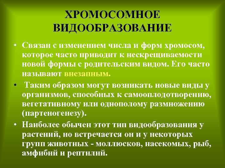ХРОМОСОМНОЕ ВИДООБРАЗОВАНИЕ • Связан с изменением числа и форм хромосом, которое часто приводит к