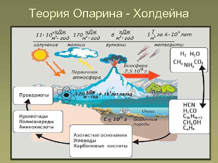 Теория Опарина - Холдейна 