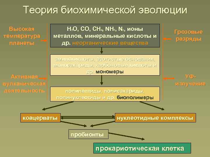 Теория биохимической эволюции Высокая температура планеты Активная вулканическая деятельность H O, CH , N