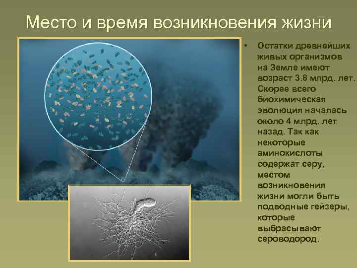 Место и время возникновения жизни • Остатки древнейших живых организмов на Земле имеют возраст