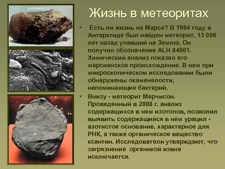 Жизнь в метеоритах • Есть ли жизнь на Марсе? В 1984 году в Антарктиде