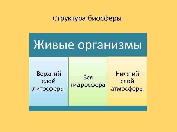 Структура биосферы Живые организмы Верхний Нижний Вся слой гидросфера литосферы атмосферы 
